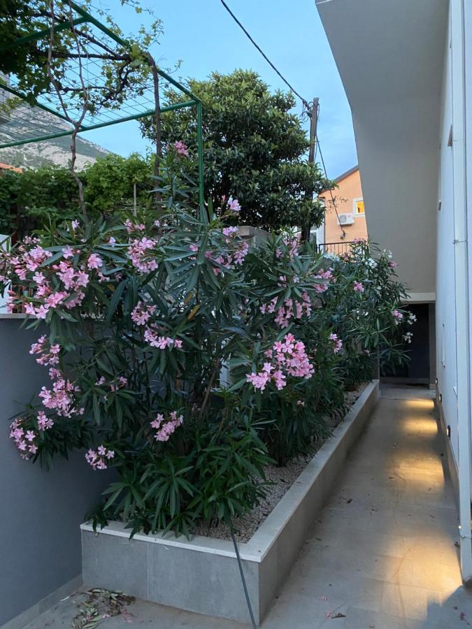 Villa Melassy マカルスカ エクステリア 写真
